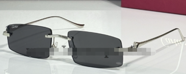 621429665 Sunglasses CT0505S